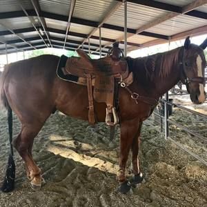 Meet your Posher, Joy